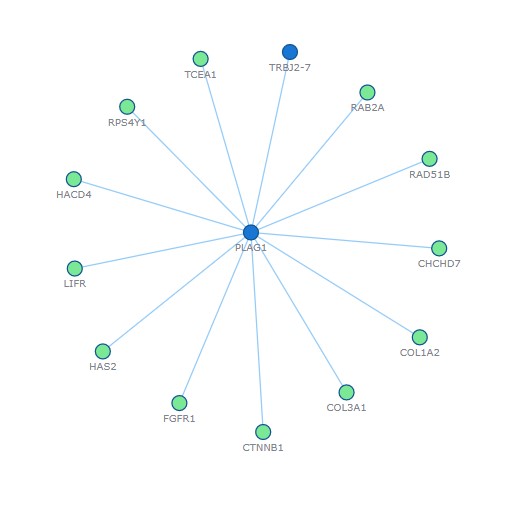 PLAG1 partners